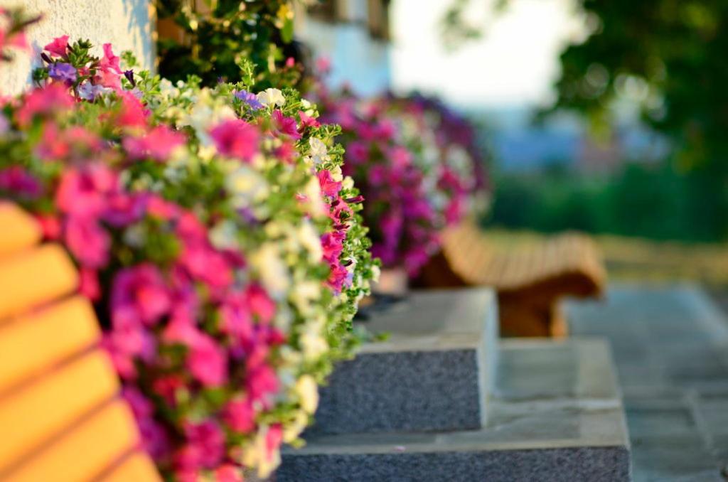 Bio Ferienhof Heiler เฟลด์เคอร์เคน-เวสต์ตาฮัม ภายนอก รูปภาพ